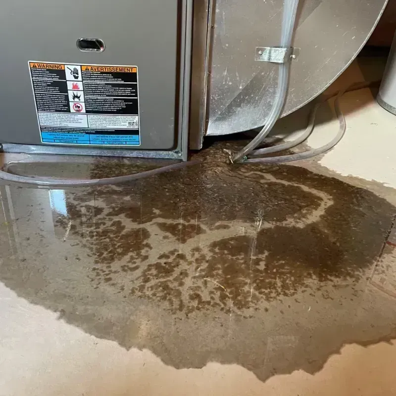 Appliance Leak Cleanup in Lynwood, IL